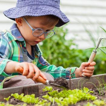 5 Easy Vegetables for Kids to Grow
