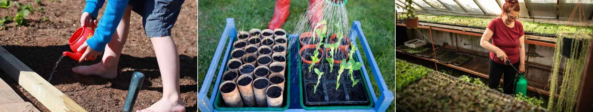 How to Water Seeds Safely Without Washing Them Away