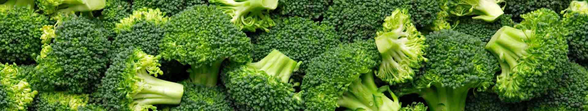 How to Grow Broccoli from Seed